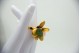 Conjunto de anel, pulseira e gargantilha em ouro amarelo