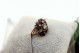  Anel em ouro e prata com diamante
