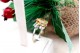 Anel em ouro branco com diamantes (16)