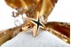 Anel em ouro em forma de estrela com diamantes (16)  em talhe brilhante 8/8