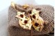 Brincos em ouro ao estilo folha de oliveira com aplicações