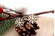  Brincos em ouro branco com diamantes (48) em talhe brilhante 8/8 e pérolas 