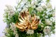  Pregadeira em ouro com diamantes (11)
