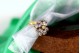 Anel em ouro e prata em forma de flor com lascas de diamantes nas pétalas e no c