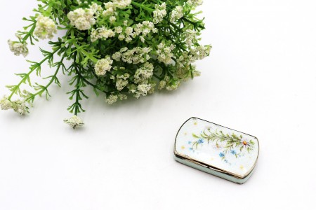 Caixa em prata com pintura floral esmaltada na tampa e interior dourado