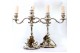 Candelabros de dois lumes em prata com relevos e aplicações, eletrificados