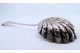 Colher de prata para polvilhar em forma de concha com relevos no cabo.