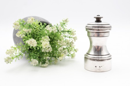 Saleiro - pimenteiro de moinho em prata com frisos perlados