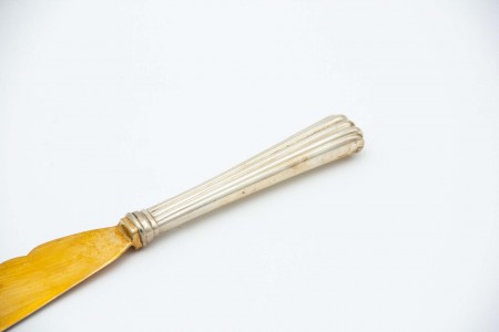 Faca para peixe em prata dourada na lâmina