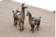 Conjunto de lamas em prata com aplicações e relevos em vulto perfeito